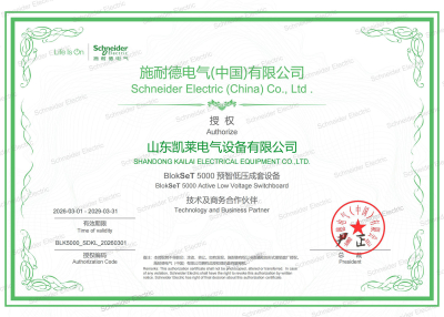 Official Licensed Certificate for Schneider BlokSeT